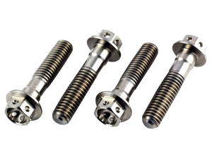 PLM Titanium Race Drilled Hex Front Pinch Bolts M6X30