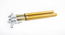 Load image into Gallery viewer, Ohlins FGRT 231 Road &amp; Track Forks Ducati V2 / V4 / 899 / 959